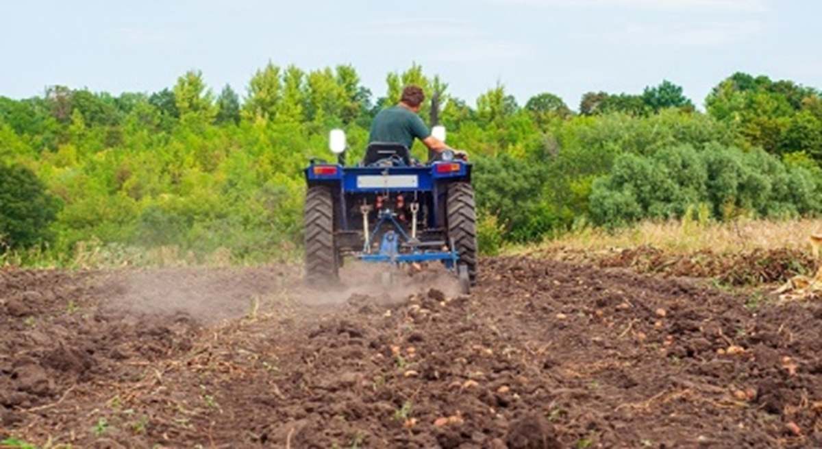 Agricultor_tractor_eE.jpg