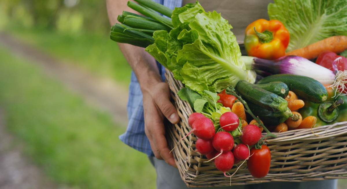 agricultor-comida-dreamstime-1200x655.jpg