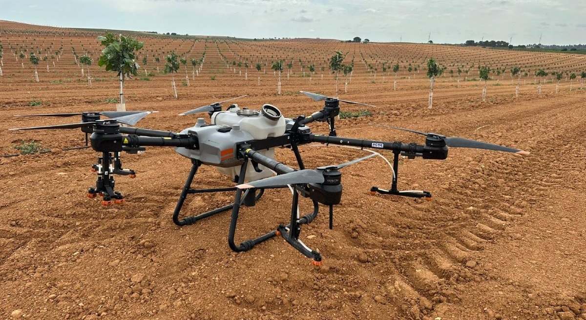 Drones de Agróptimum en un cultivo de pistacho
