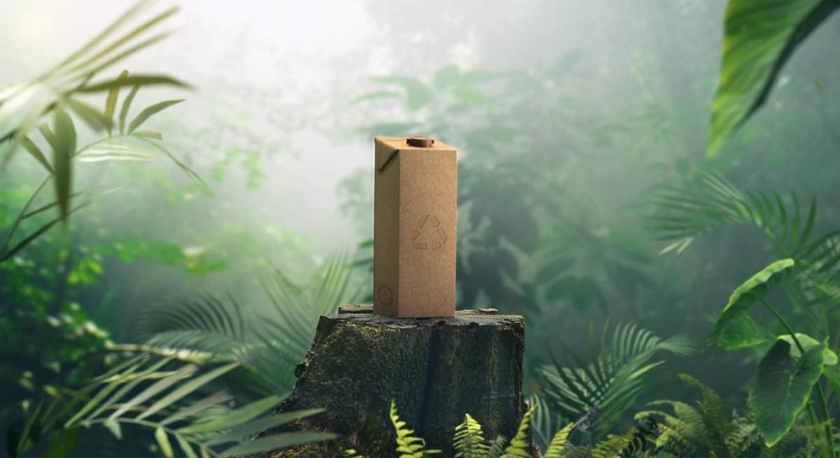 Envase_Carton_GNGC.jpg