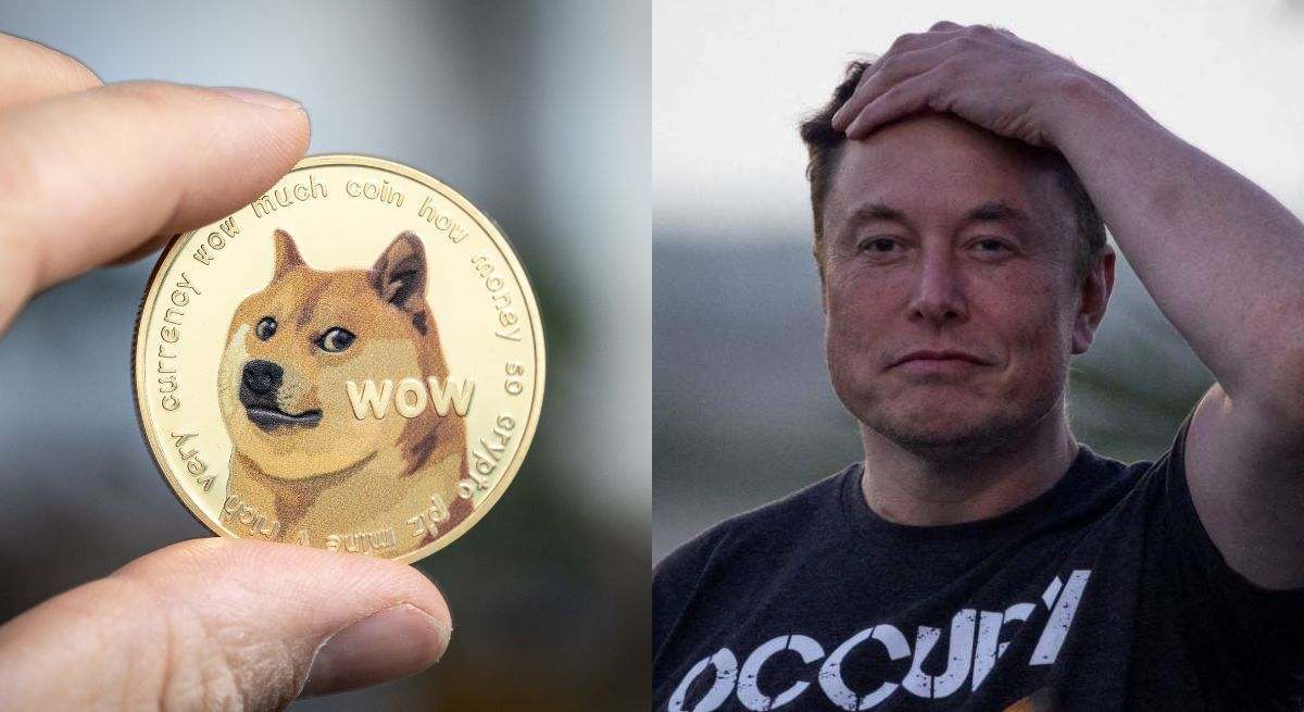dogecoin-musk.jpg