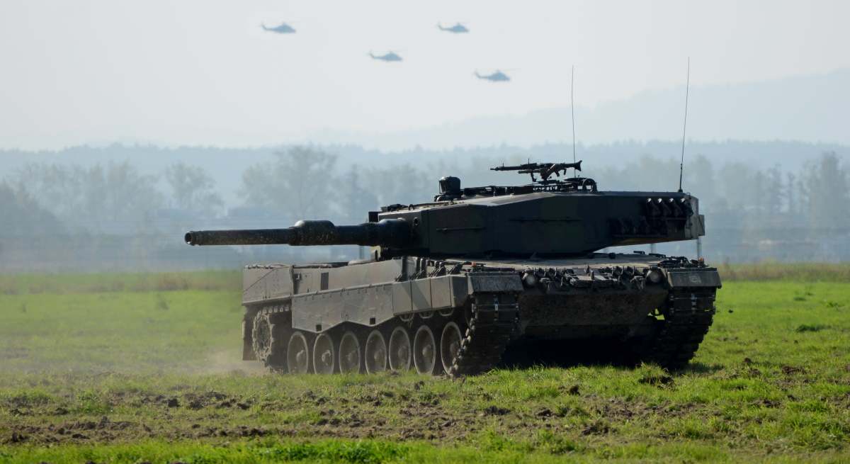leopard.jpg