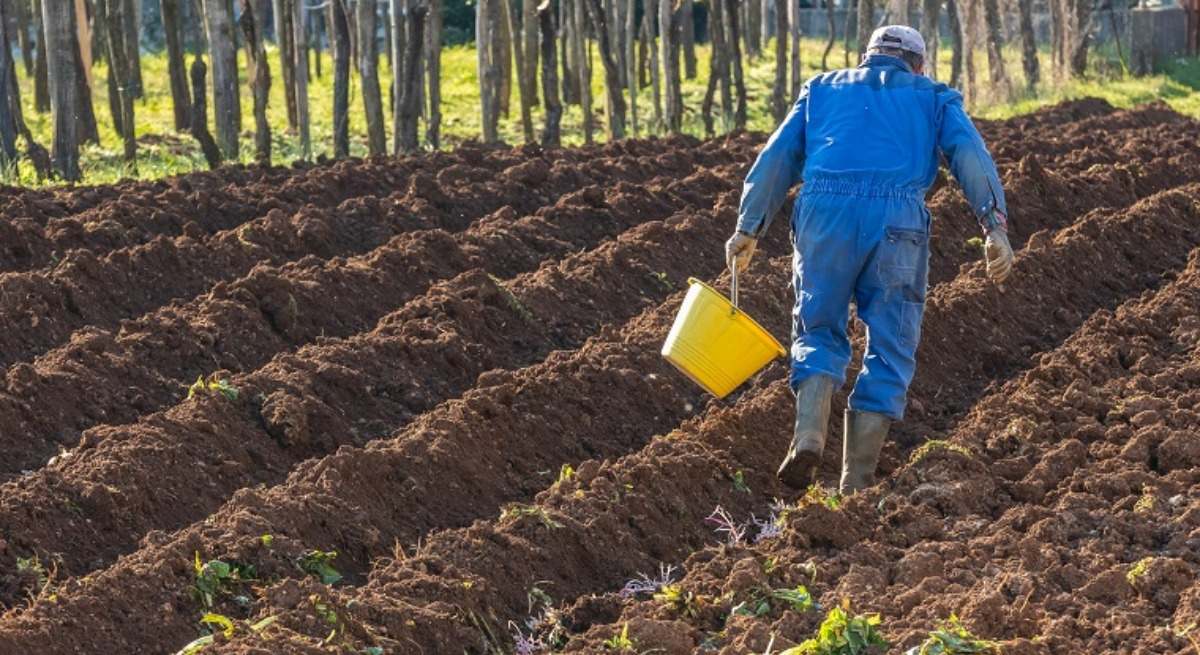 Una persona trabaja en el campo