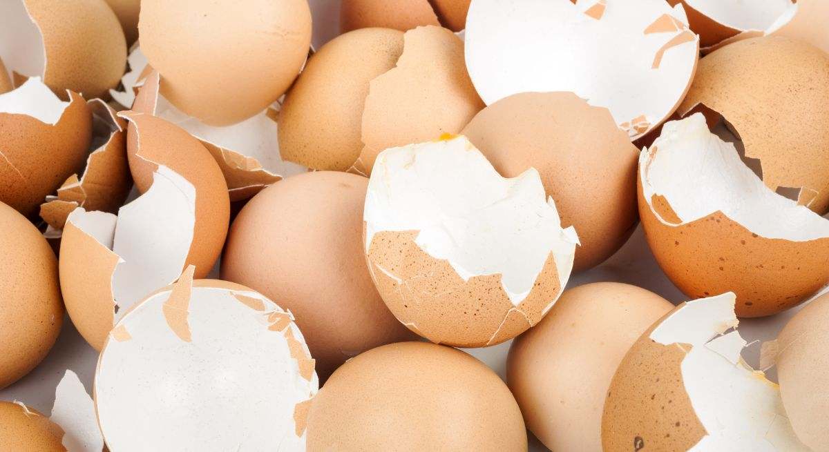 No tires las cáscaras de los huevos: mézclalas con agua y jabón para conseguir este efecto