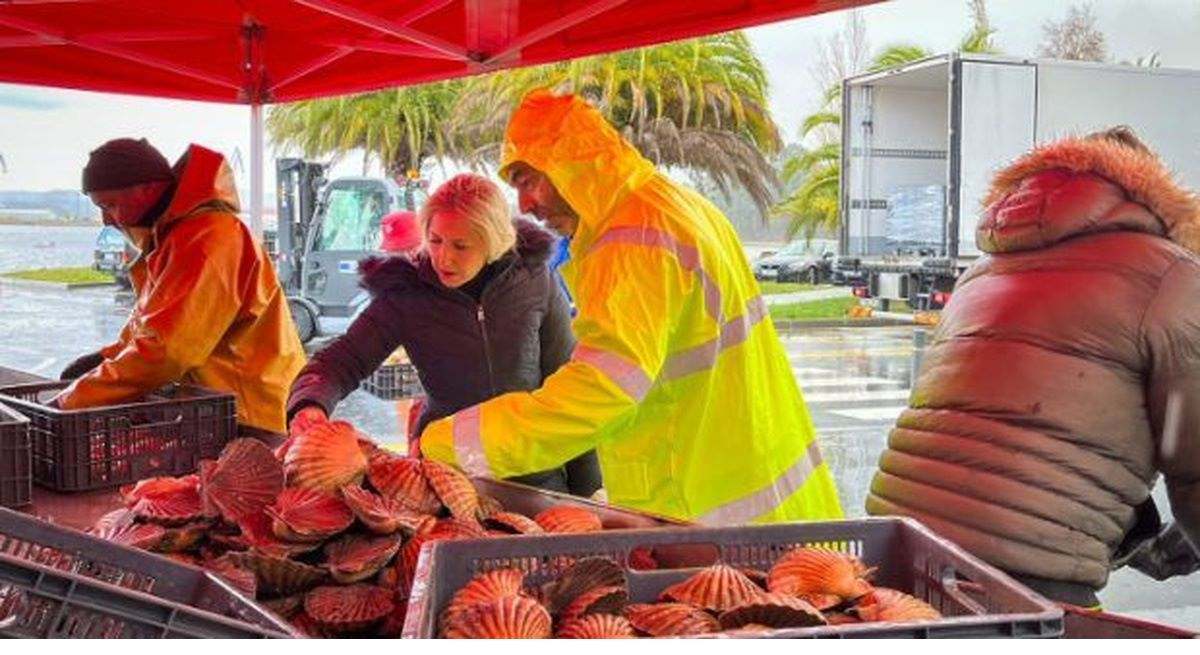 La cofradía de Barallobre realiza por primera vez en la Ría de Ferrol esta campaña.