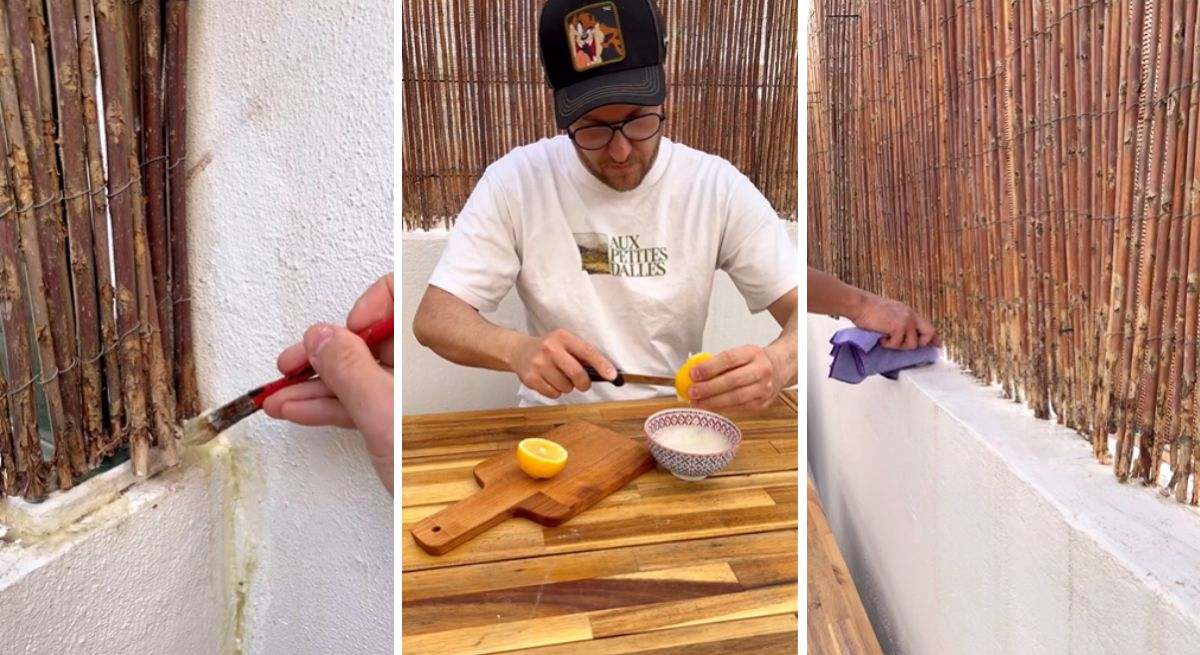Omar Bielsa cuenta trucos para evitar las hormigas en el hogar. / Foto: Instagram - omar_homedecor