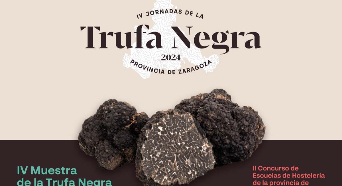trufa zaragoza