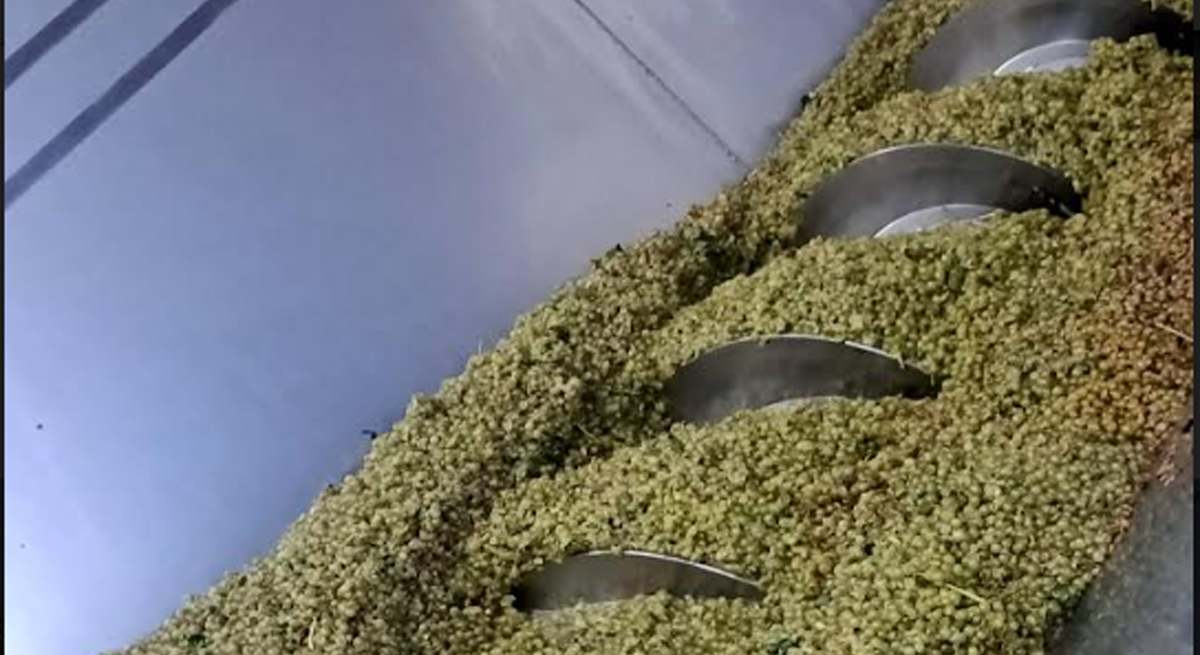 bodega pirineos