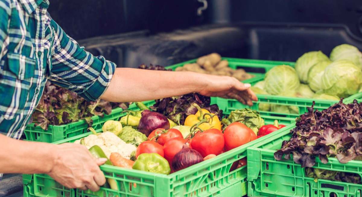 La agroalimentación, a debate en las Lisbon Agriconferences