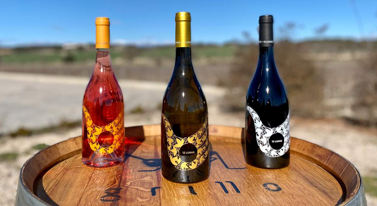 bodegas