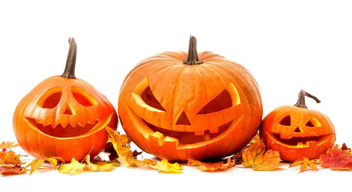 halloween.jpg