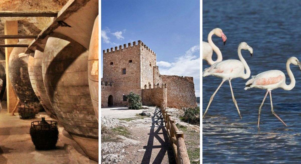 La ruta del vino de La Mancha