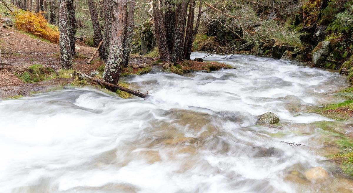 El curso del río a través de una montaña con vegetación