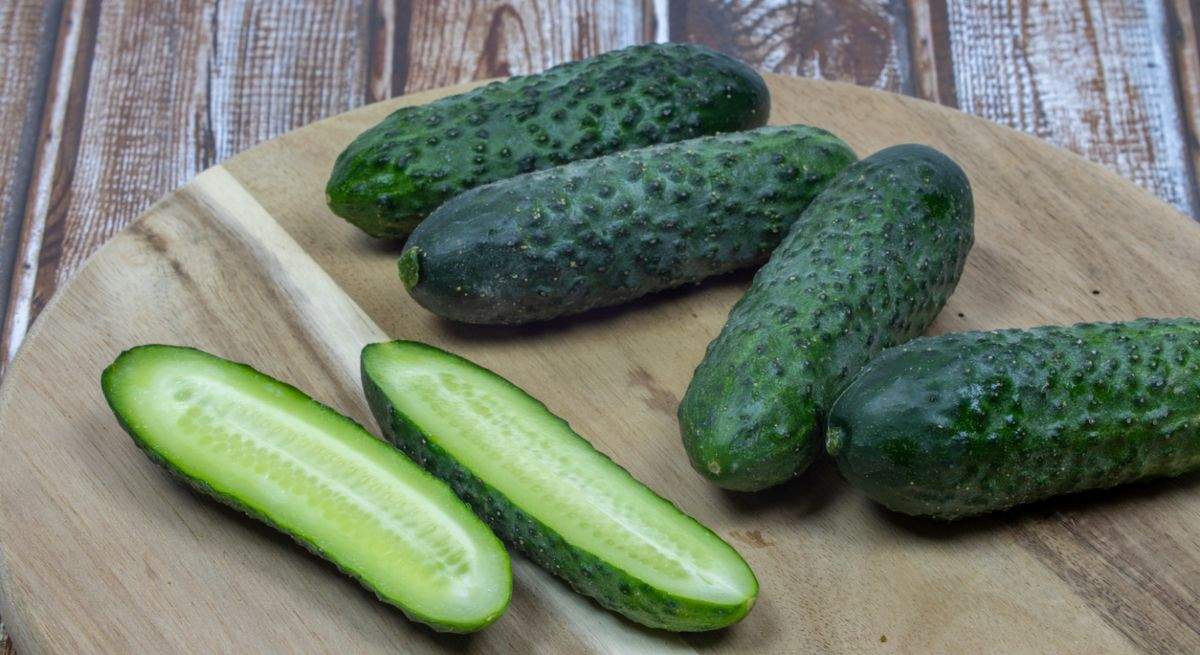 pepino-brote-salmonela-noruega-iStock-1412385078.jpg