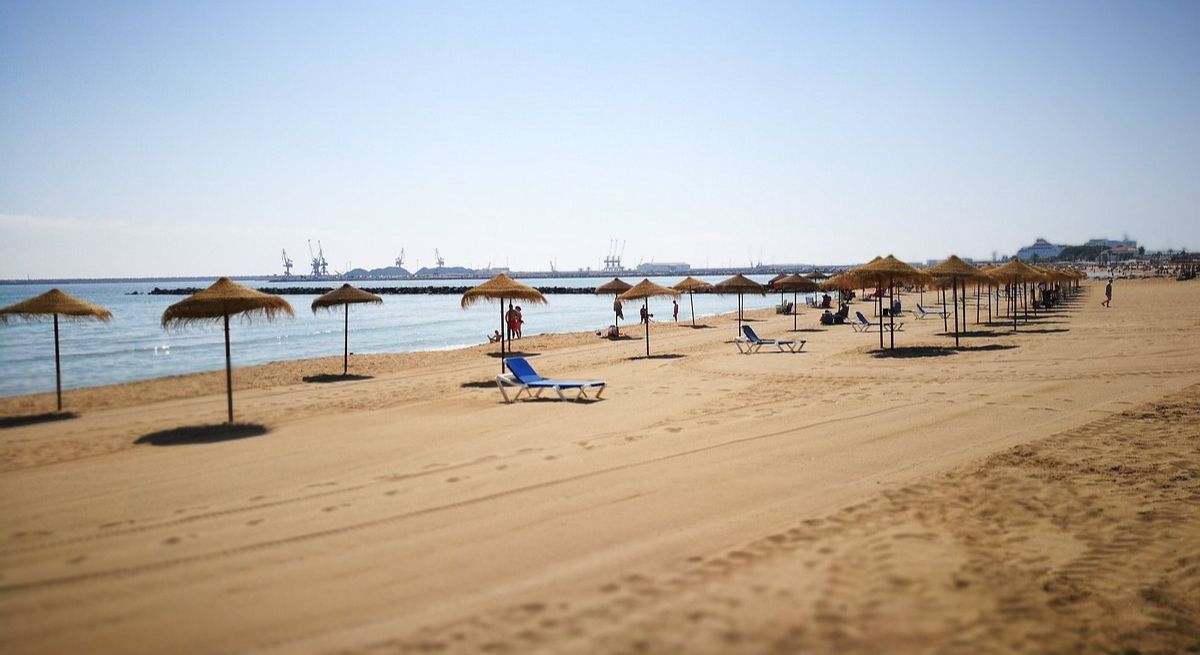 Una playa con sombrillas alineadas y tres hamacas en el medio