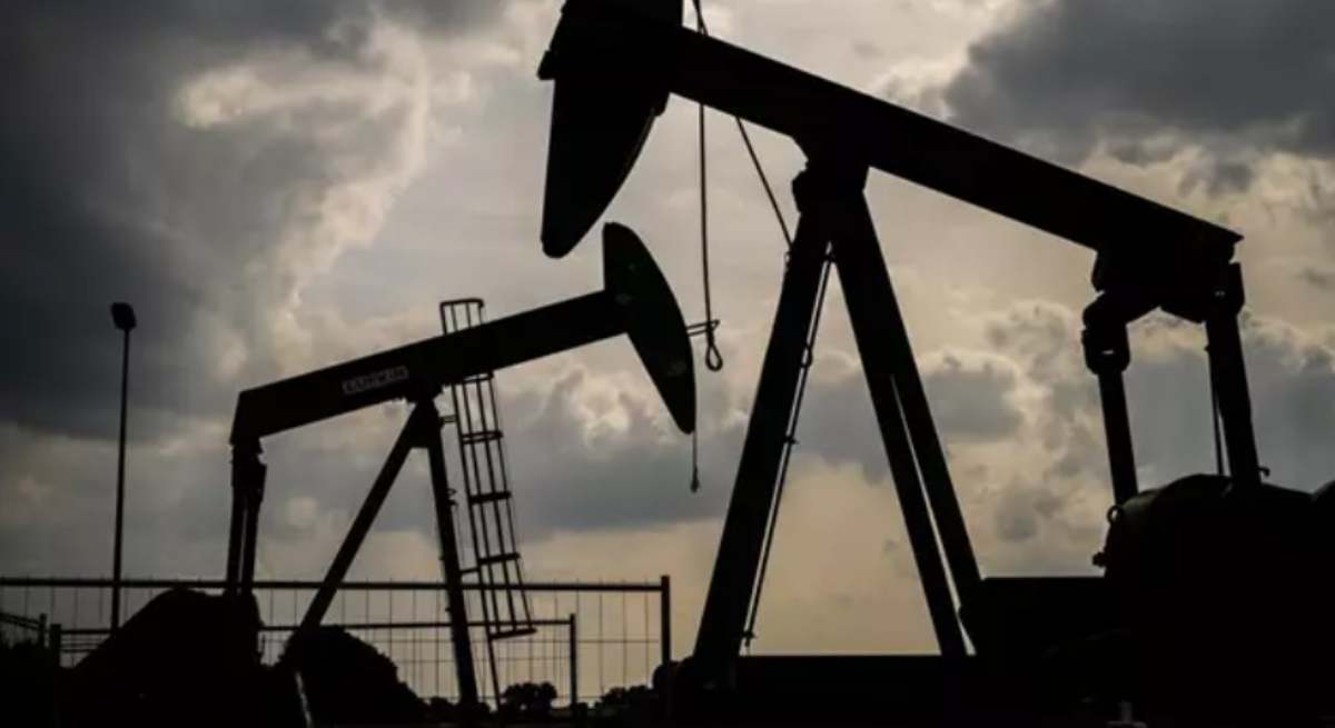petro.jpg
