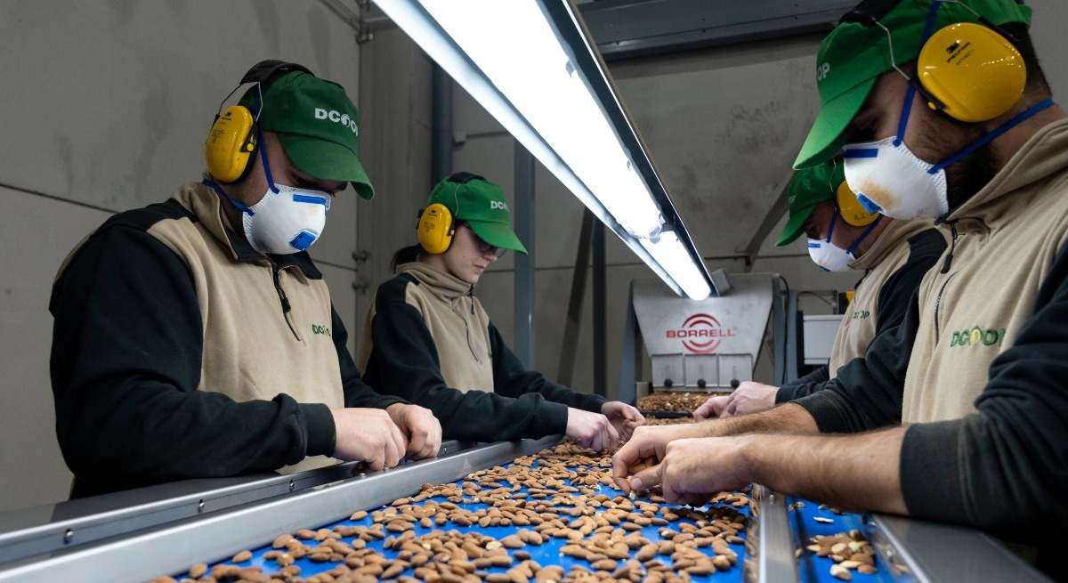 Operarios en la planta de Villarrubia (Córdoba).