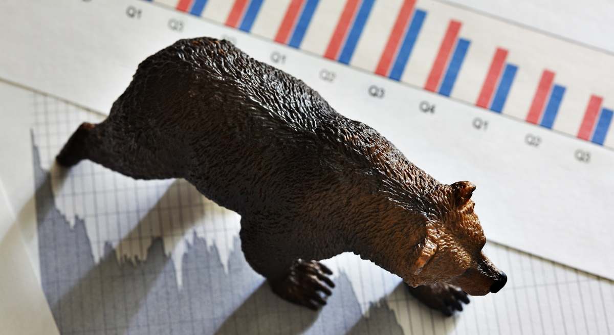 oso-camina-grafico-bolsa-istock
