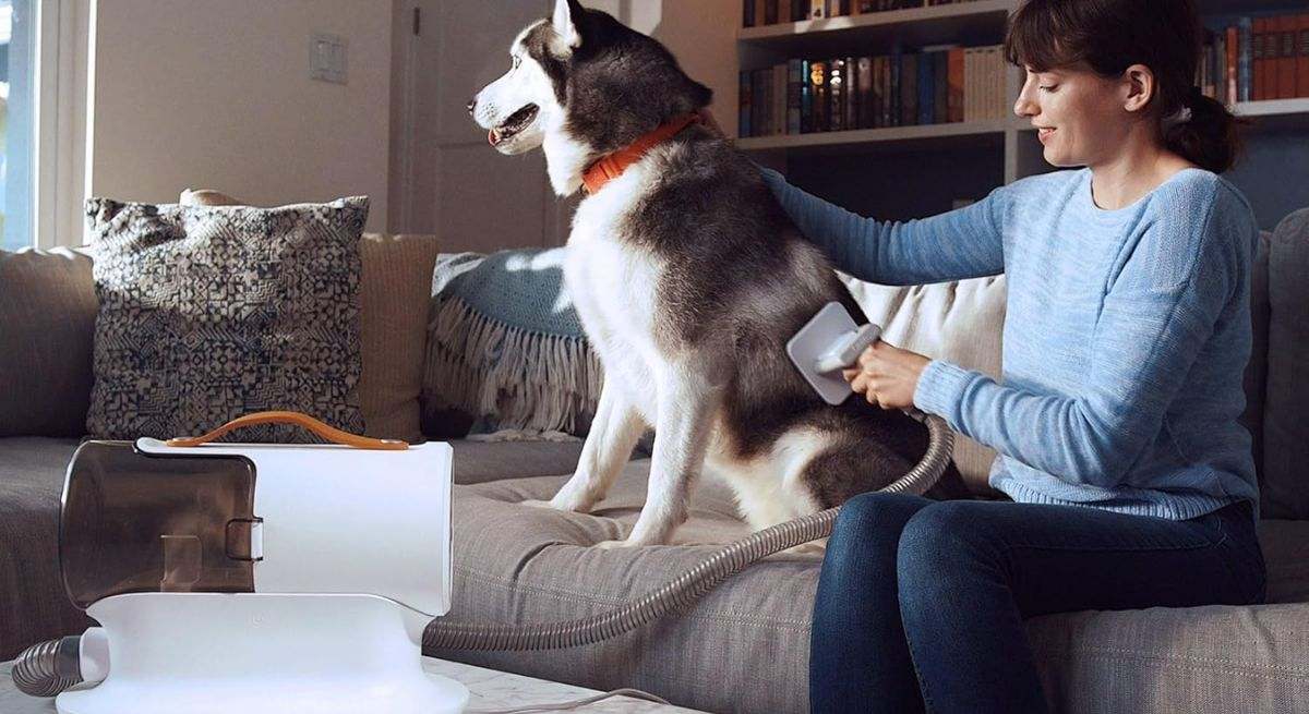 El mejor aspirador de pelo para mascotas cond escuento