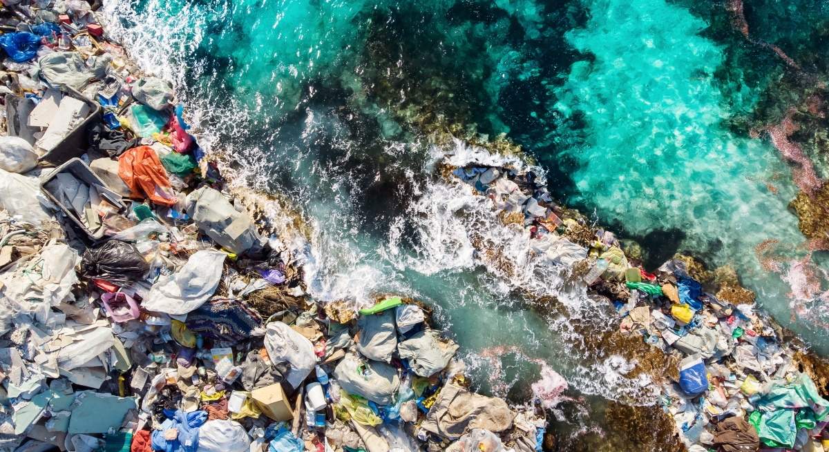 residuos-plastico-oceano-playa-dreamstime.jpg