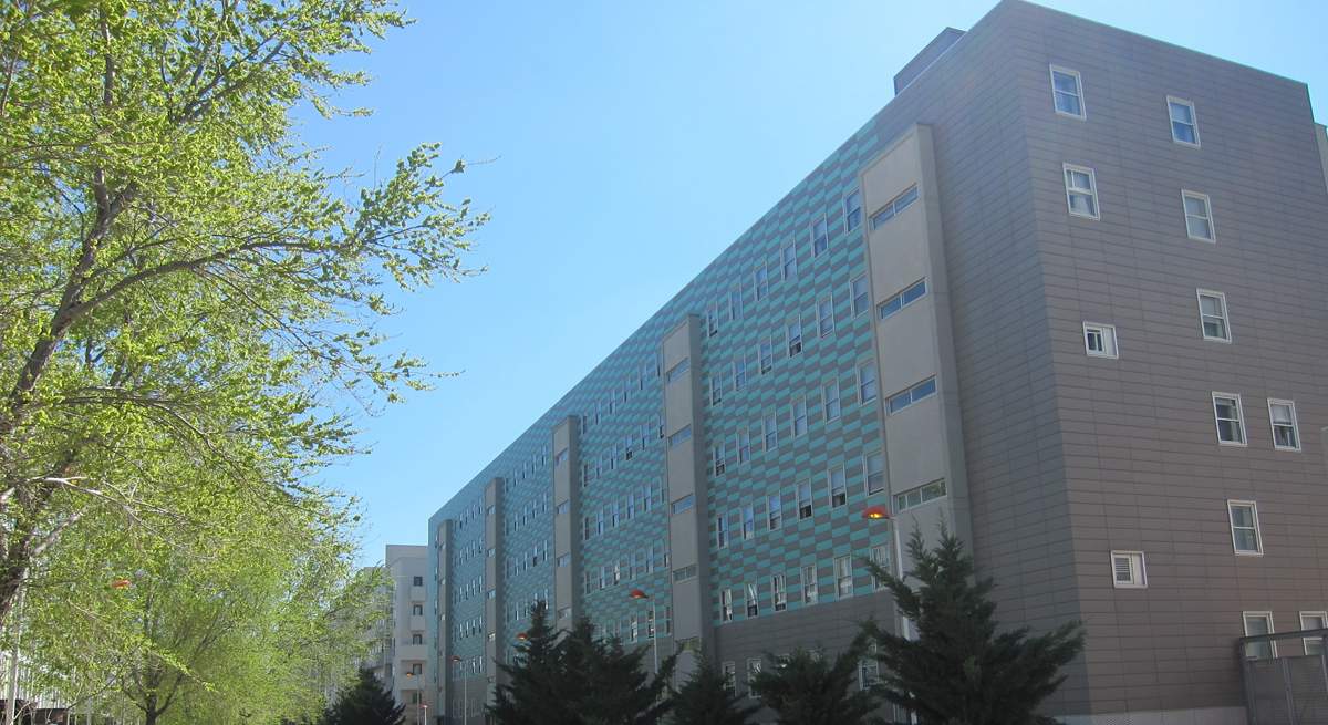 ibi zaragoza