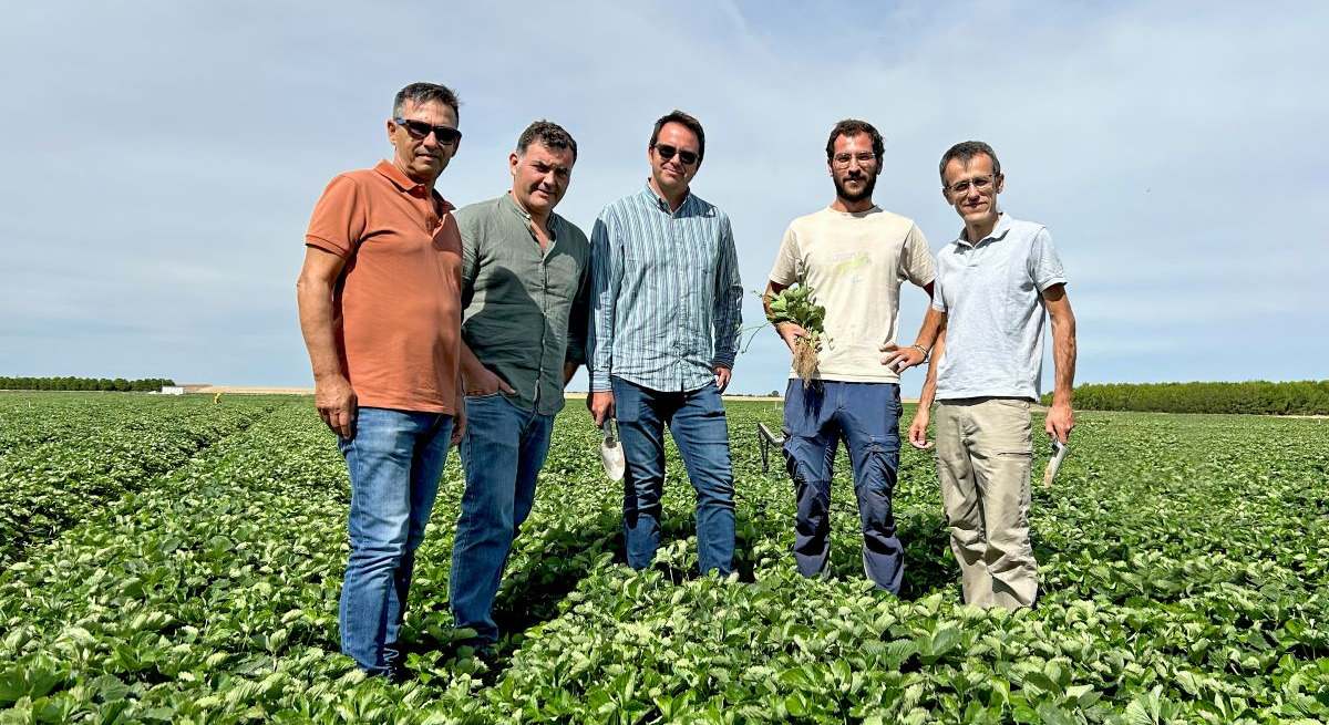 Equipo de El Pinar