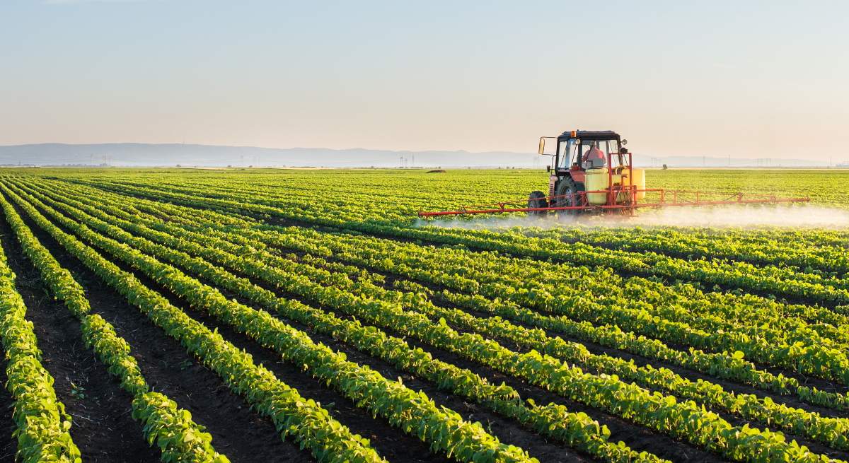 campo-cultivo-agricultura-istock.jpg