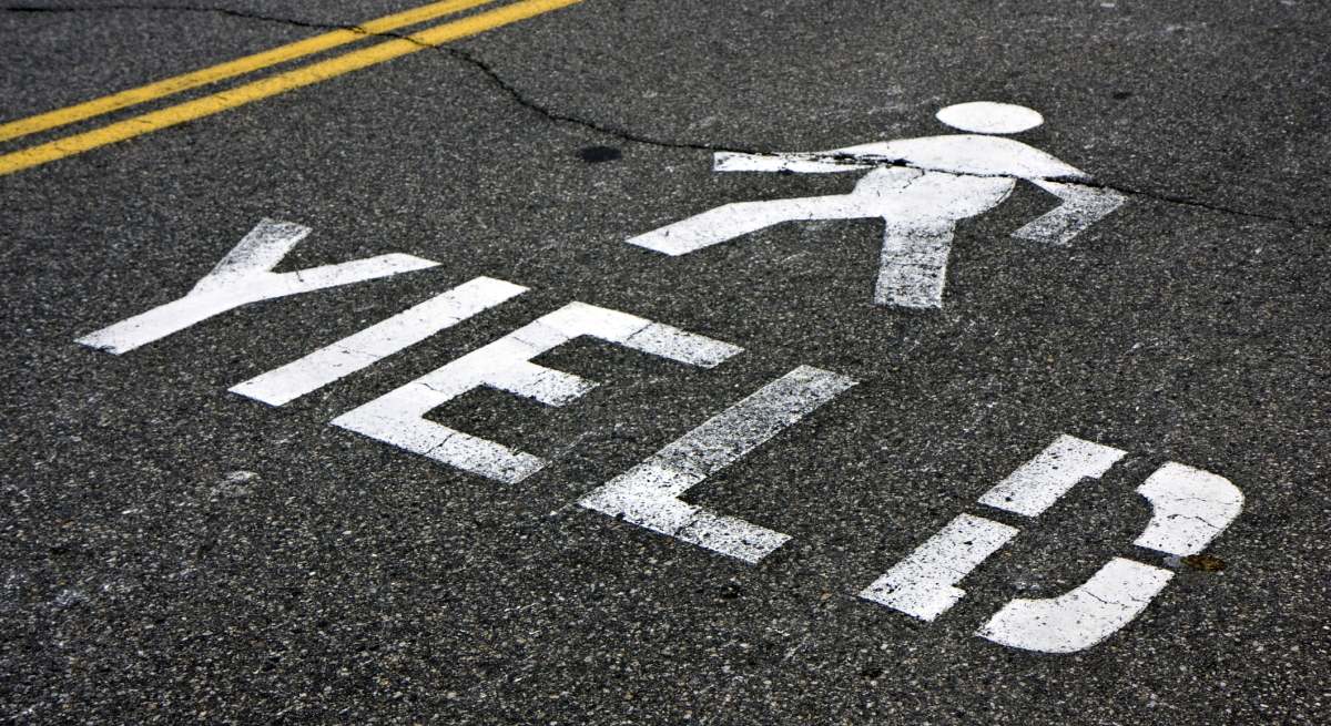 yield-camino-dreams.jpg