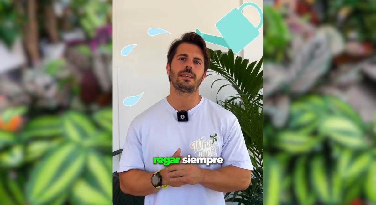 "Tienes que dejar de hacer esto": un experto en plantas advierte sobre el peligro de este método que todos han usado para regar