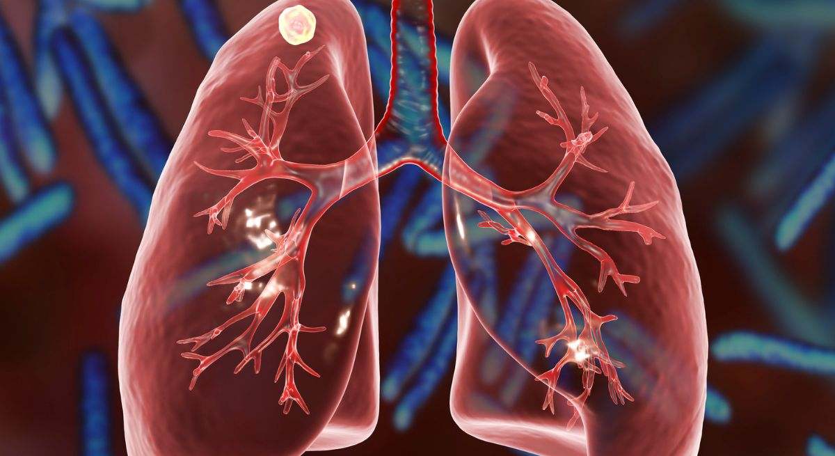 Los pulmones son una parte muy importante de nuestro organismo