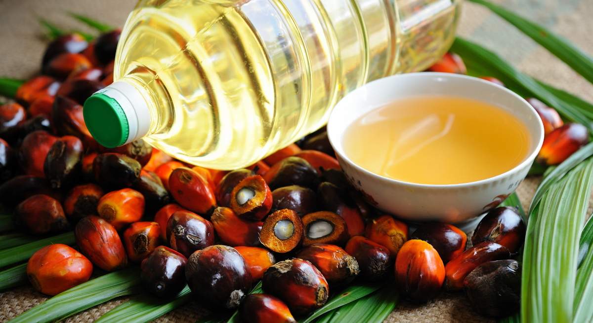 aceite-palma-dreamstime.jpg