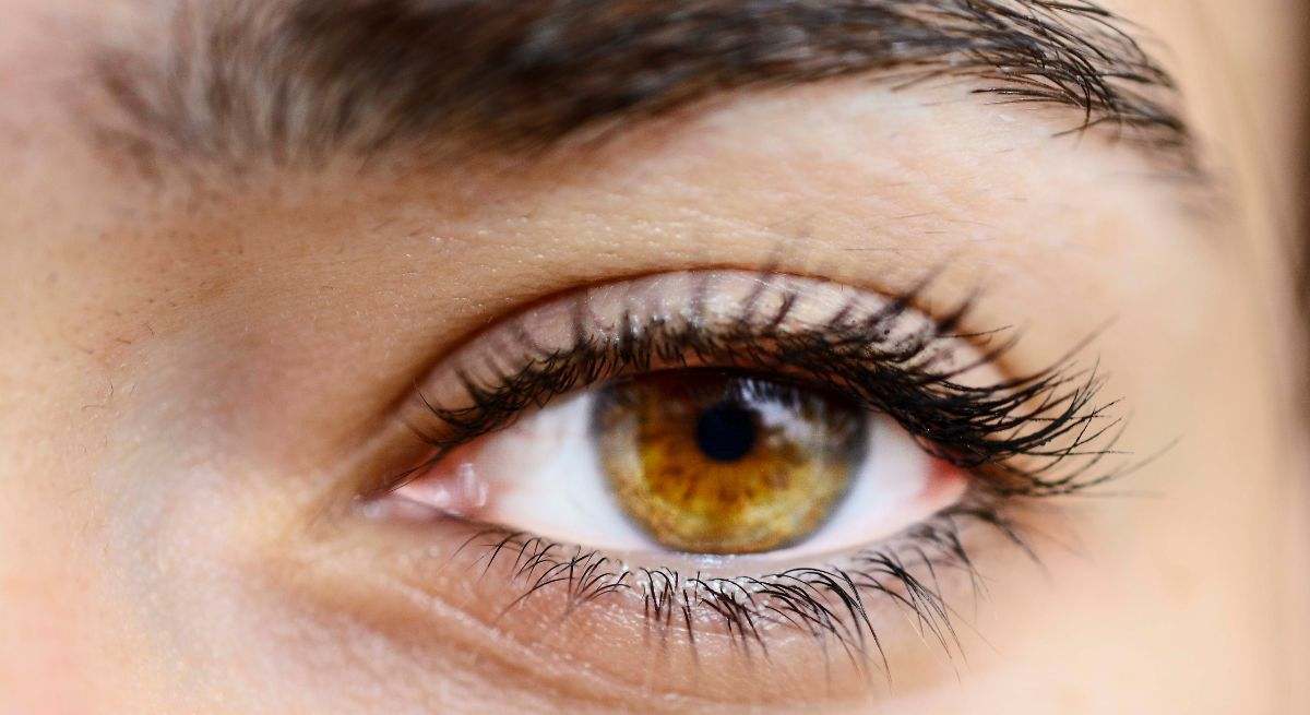 Qué son las "moscas volantes" de los ojos, unas molestas figuras que "acompañan tu mirada"