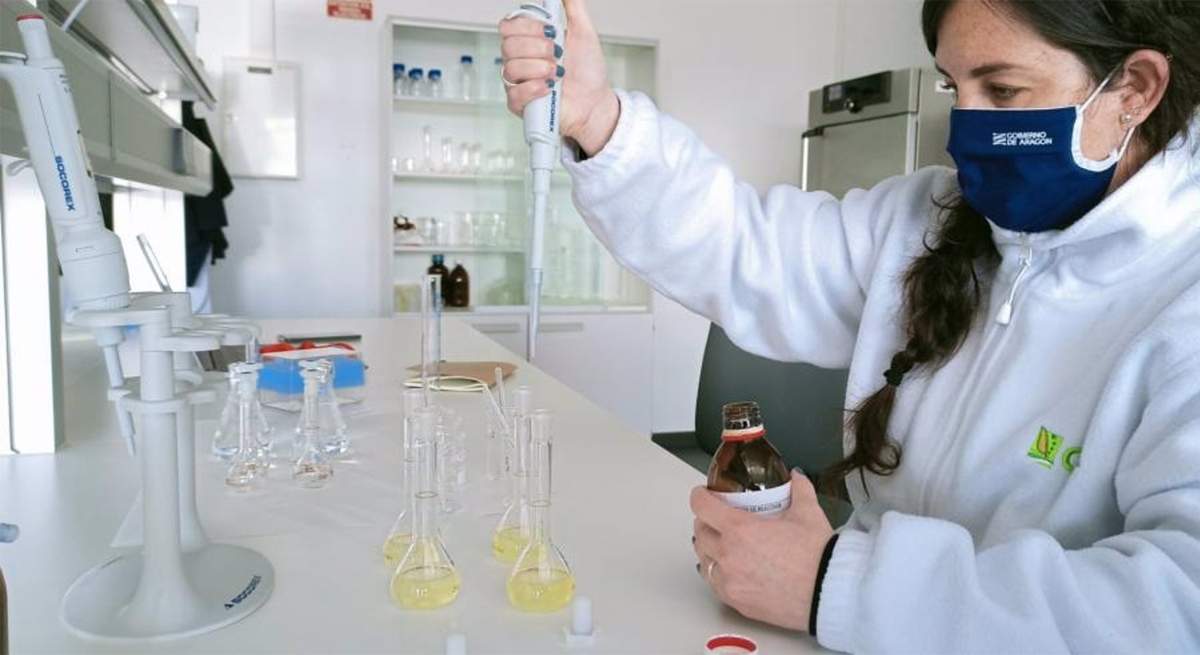 innovacion agroalimentaria