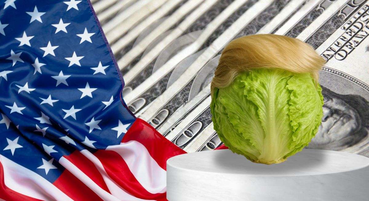 truss lechuga