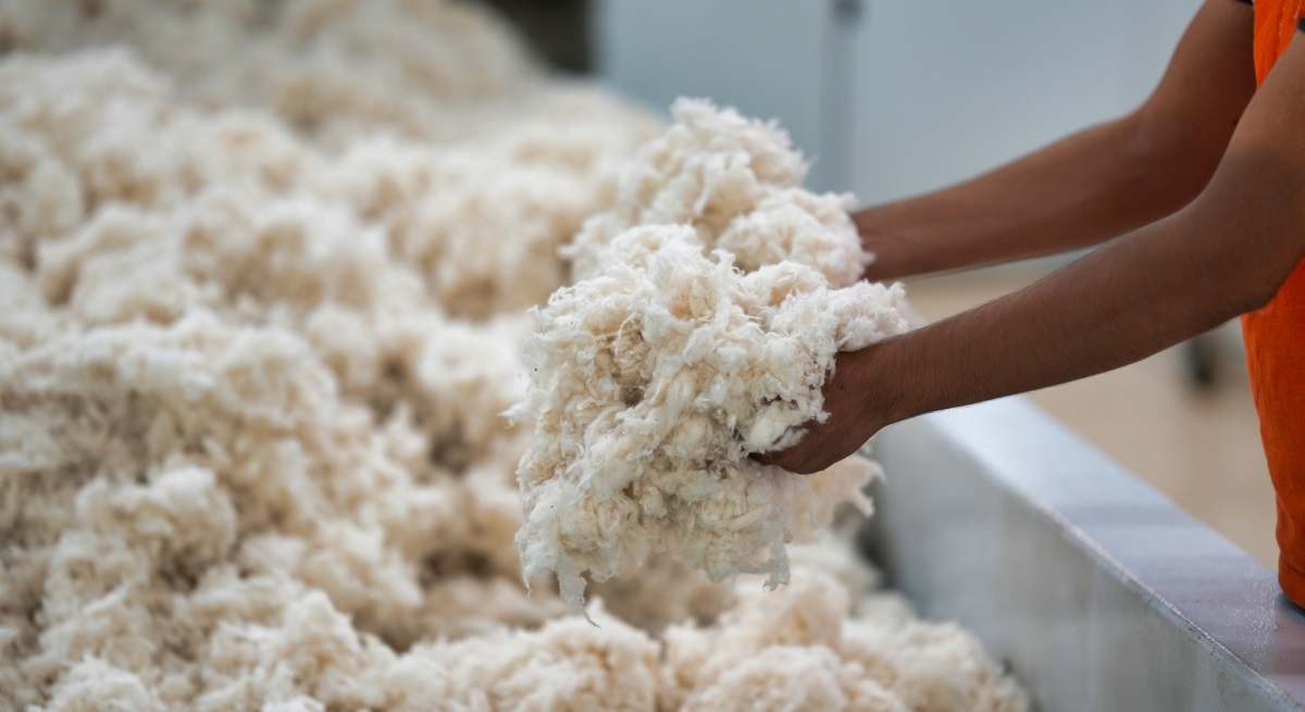 iStock-1481019143-industria-textil.jpg