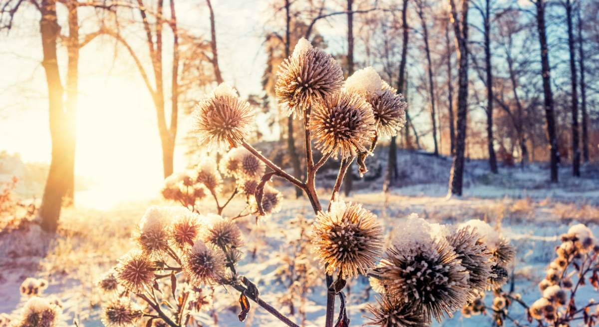 solsticio-invierno.jpg