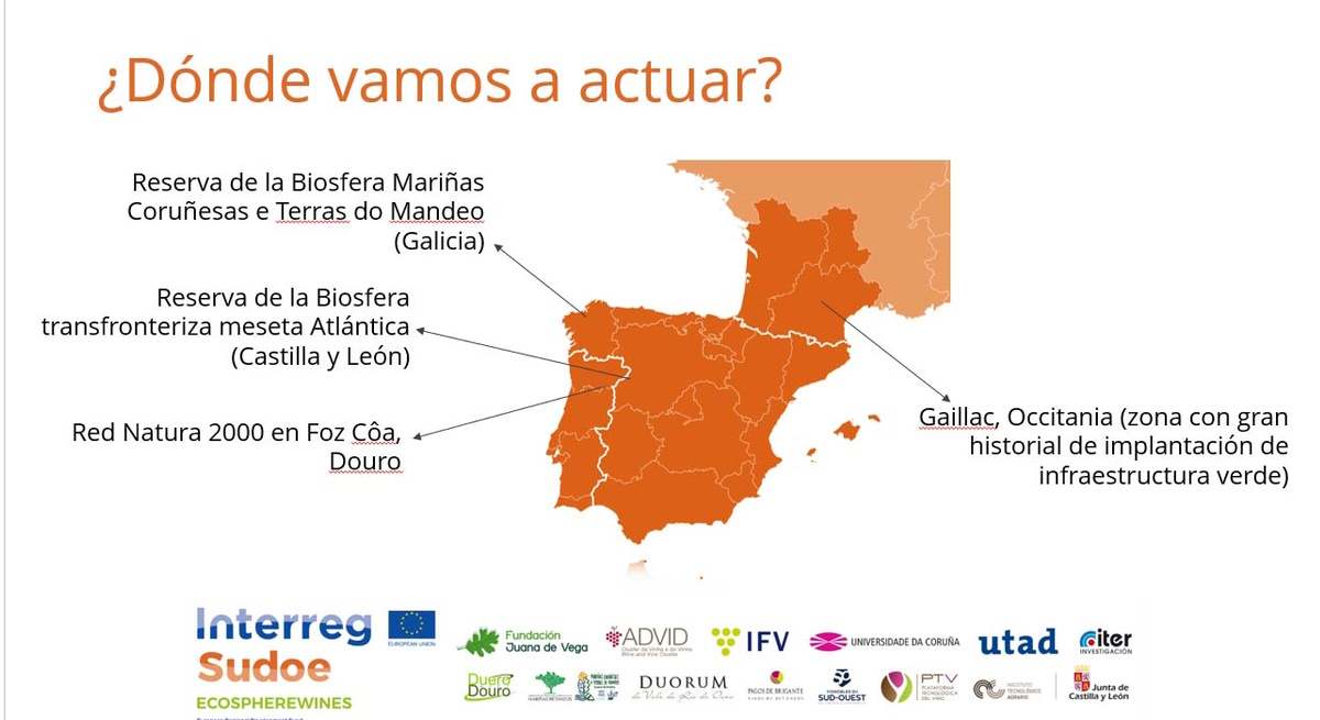 ZOnas de actuación