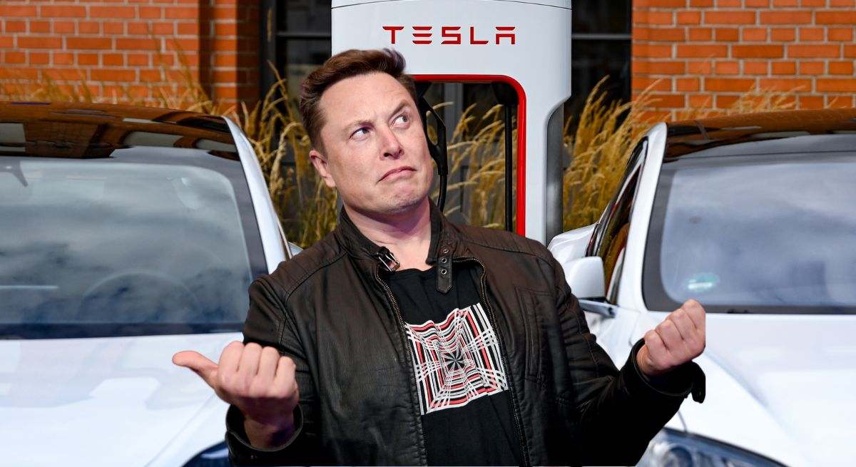 Montaje de Elon Musk con dos Tesla cargando en uno de sus cargadores