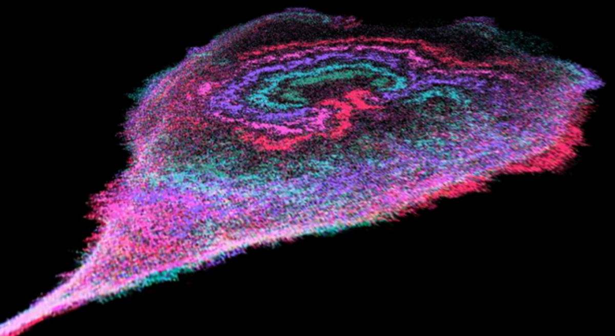 Célula cancerígena