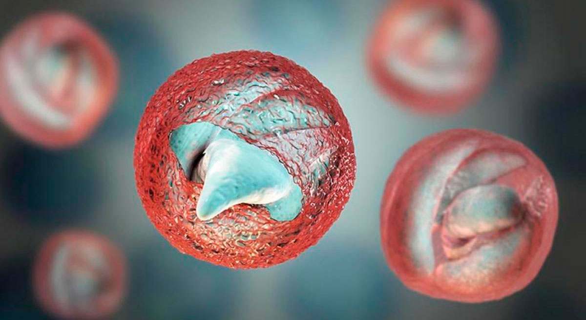 criptosporidiosis