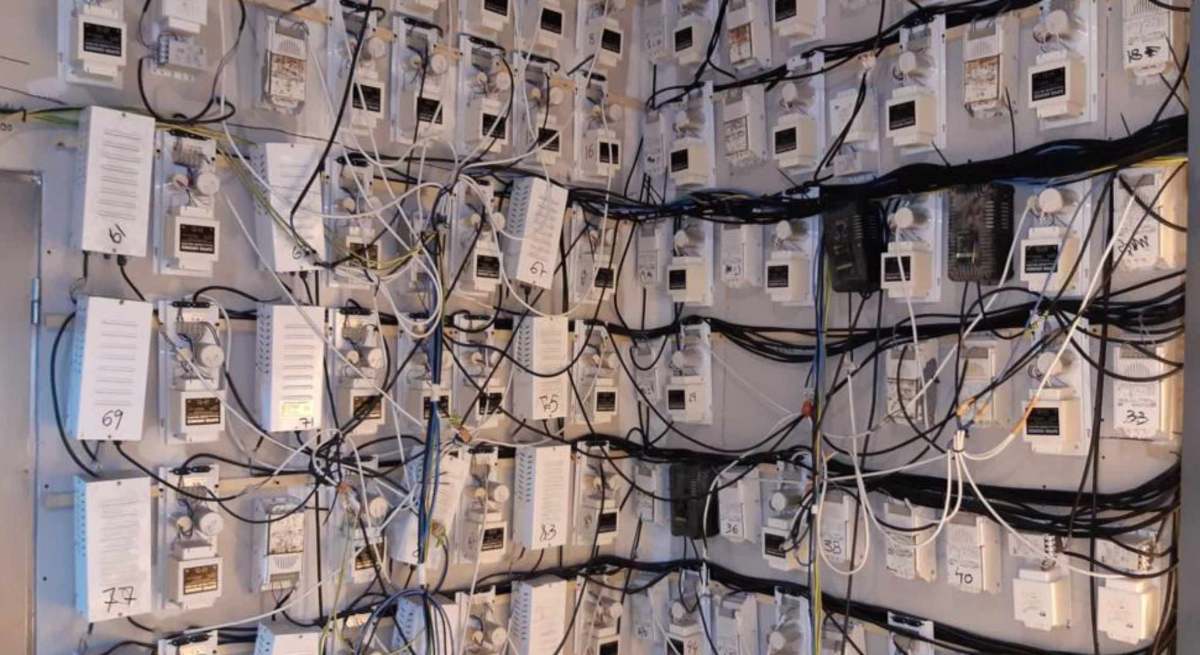 Contadores en un bloque con plantaciones de marihuana.