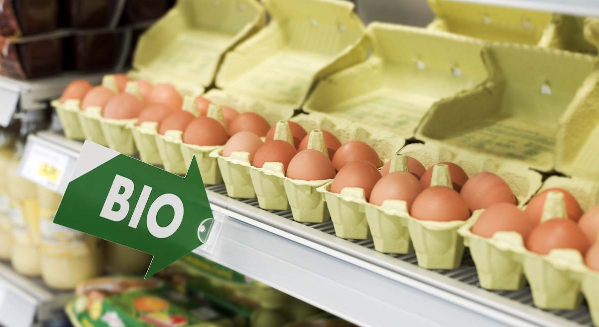 Huevos_productos_BIO_Istock.jpg