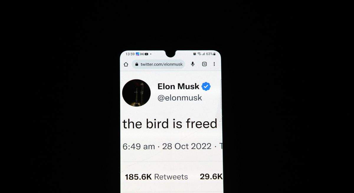 musk-tw-dreamstime.jpg