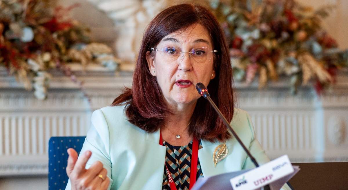 Cani-Fernandez-CNMC-EP.jpg