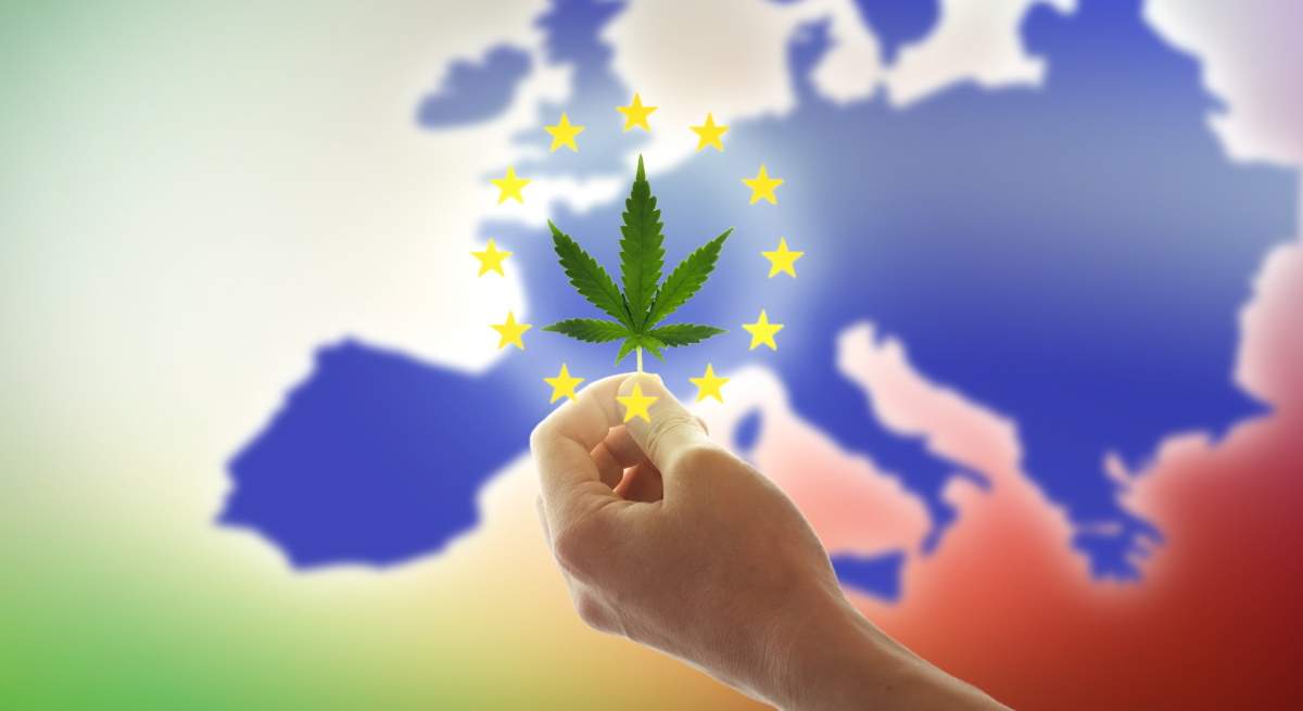 Cannabis.jpg