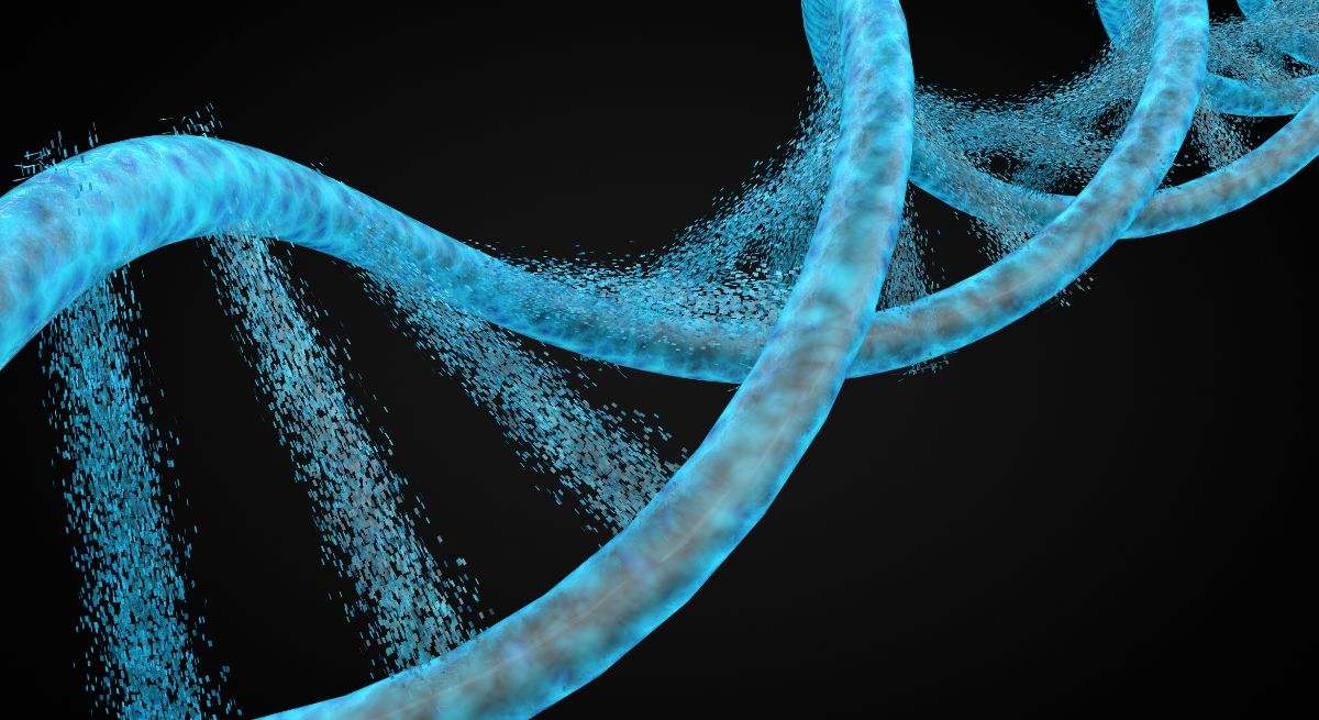 El ADN es la molécula que contiene la información genética de todos los seres vivos