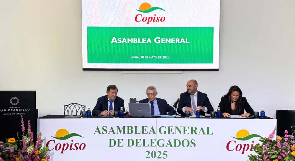 Asamblea general de Copiso