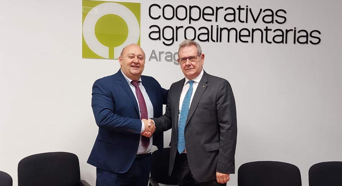 cooperativas