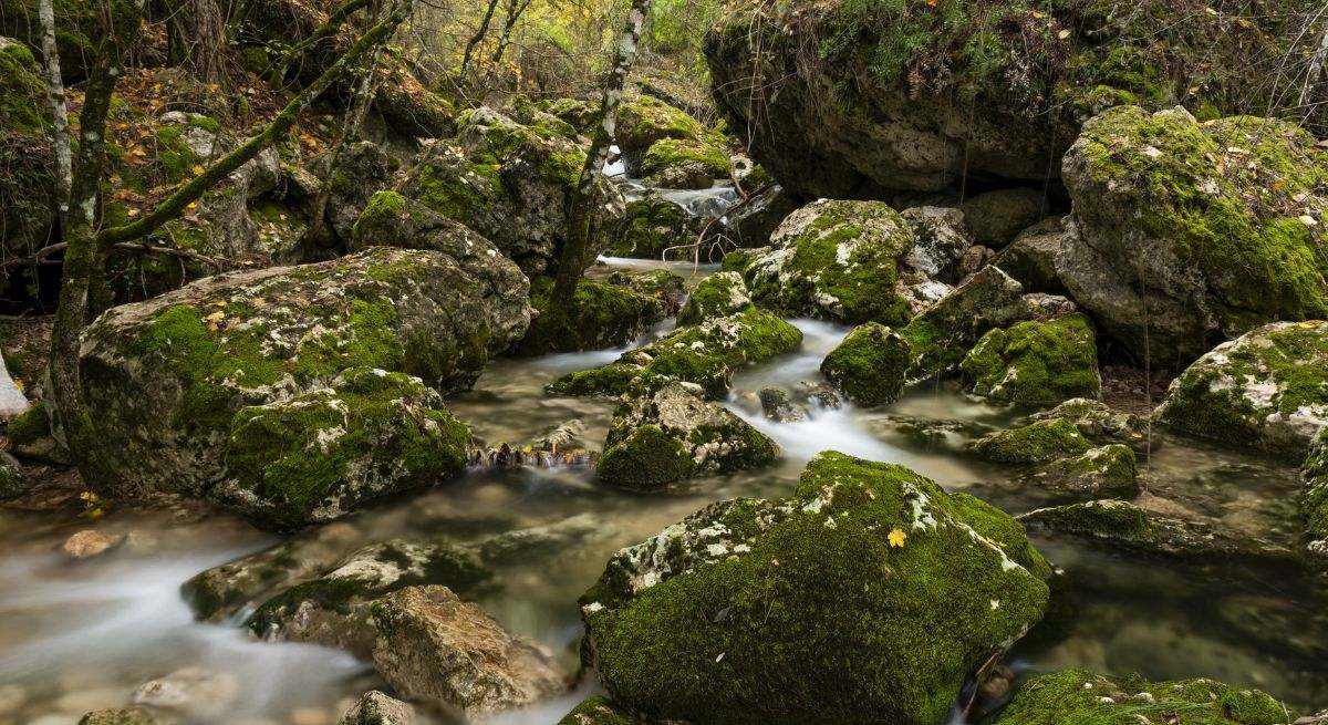 río mundo por su paso por el parque natural