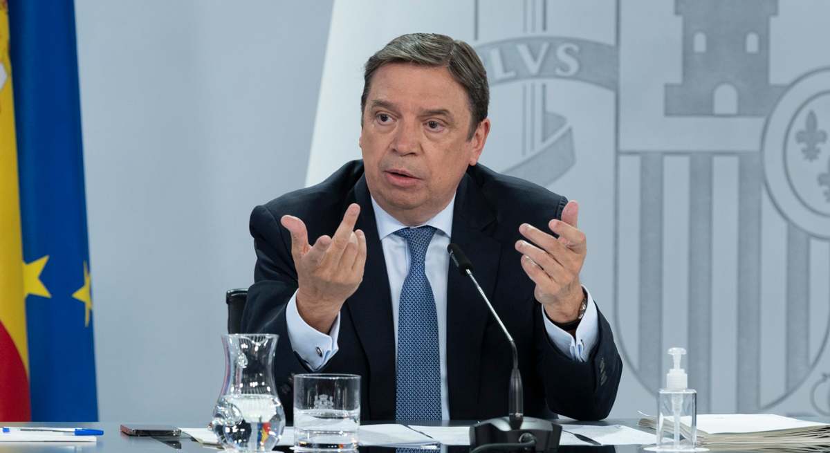 Luis Planas, ministro de Agricultura